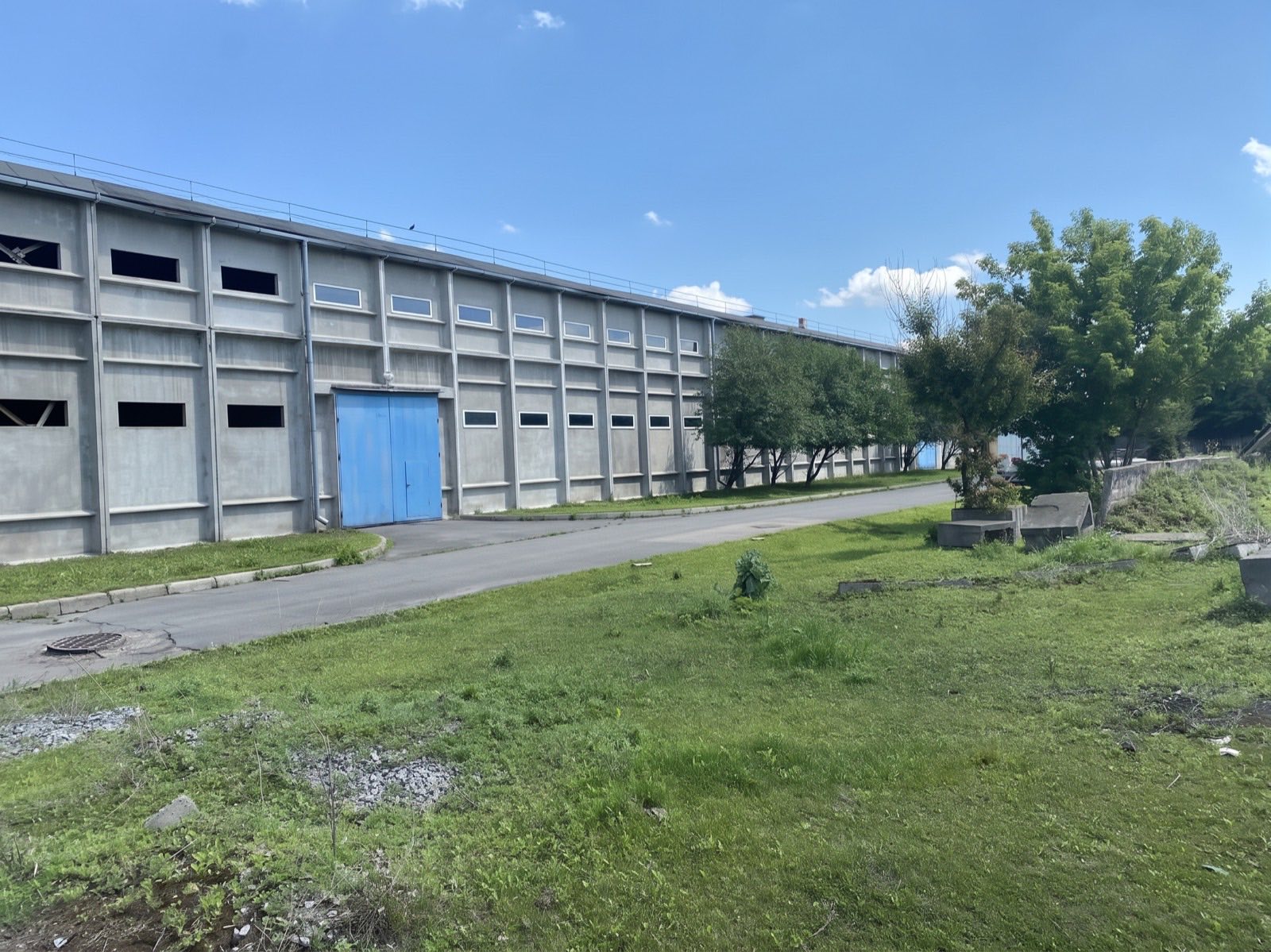 Внутрішній проїзд уздовж довгого фасаду корпусу, поруч - газон і під'їзд до вантажних воріт
